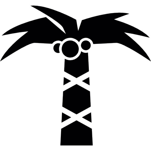 626x626 Tree Of Pal From Tropic With Coconuts Fruits Icons Free Download