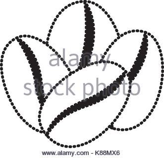 331x320 Coffee Beans Set Of Four Grains Monochrome Blurred Silhouette