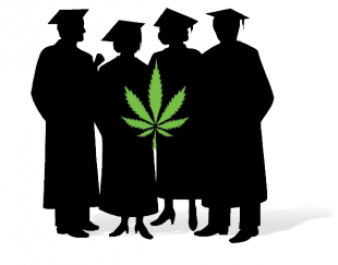310x243 College Students May Do Better With Weed Alternet