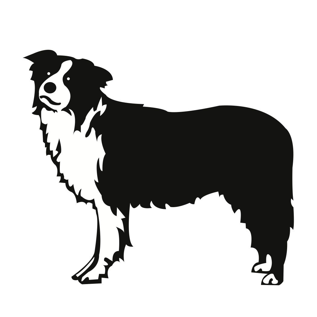 1050x1050 Free Svg Files Free Svg File Download Border Collie Dog
