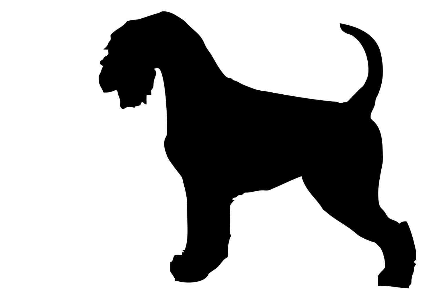 1517x1011 Beagle Silhouette Clip Art Animalsee.club