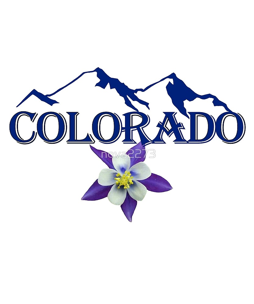 833x1000 Blue Colorado With Mountain Silhouette And Columbine Flower By