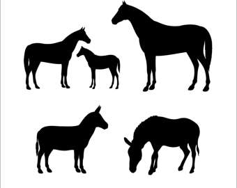 340x270 Colts Svg File Etsy