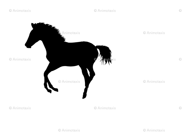600x450 Frolicking Colt Silhouette 2, L Fabric