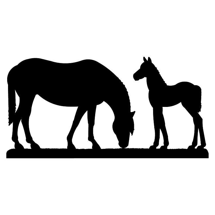 750x750 Horse And Colt