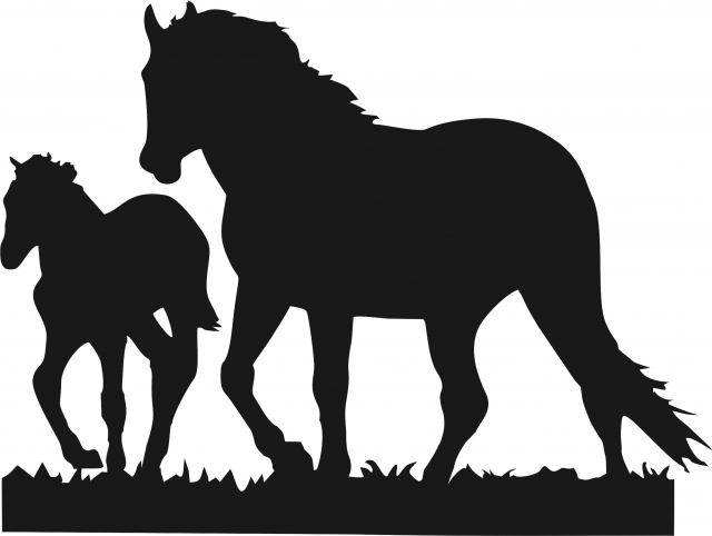 640x482 Stallion Amp Colt Horse Laser Cut Silhouettes