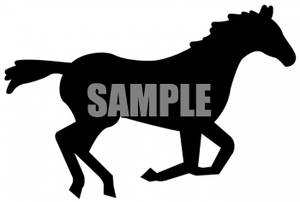 300x202 Of A Colt Or Filly