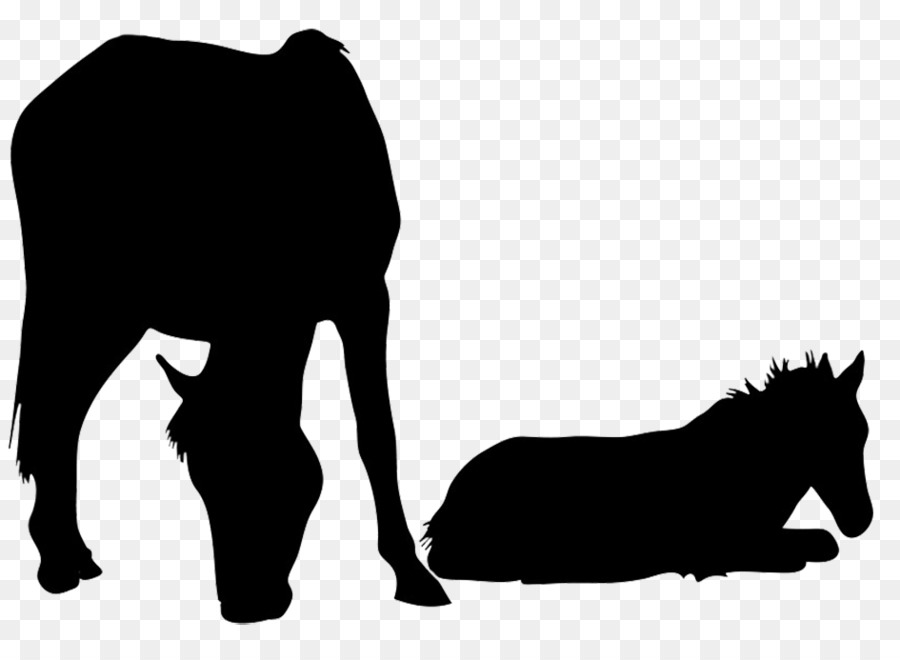 900x660 American Quarter Horse Mare Amp Colt Foal