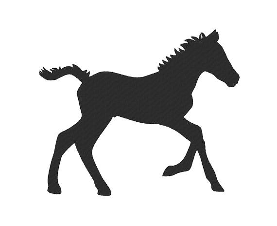 570x464 Baby Horse Colt Foal Filly Embroidery Machine Design
