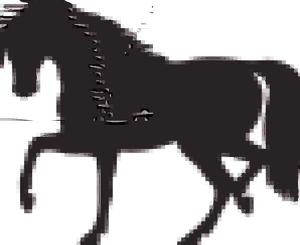 596x487 Colt Pixcove