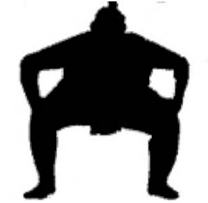 300x293 The Tarkio Valley Sloth Project A 100,000 Year Old Mystery In Sw