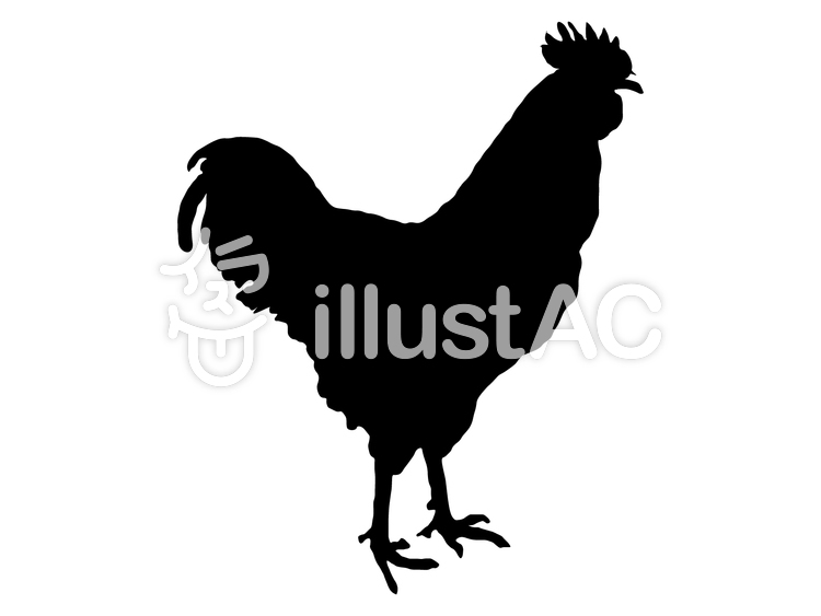 750x563 Free Cliparts Silhouette, Bird, A Chicken