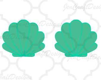 340x270 Cut Shell Etsy