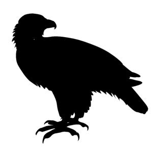 320x295 Eagle Silhouette 2 Decal Sticker