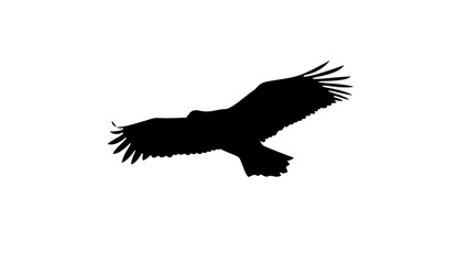 426x240 Search Photos By Akhmad