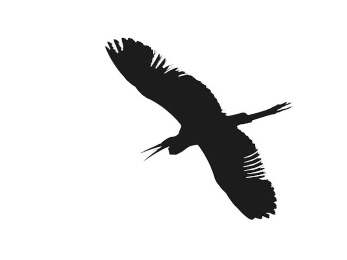 700x525 Silhouette D'Aigrette En Vol Sticker We Live To Change