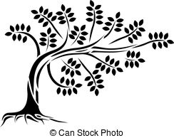 244x194 Vector Realistic Silhouette Of Coniferous Tree Isolated