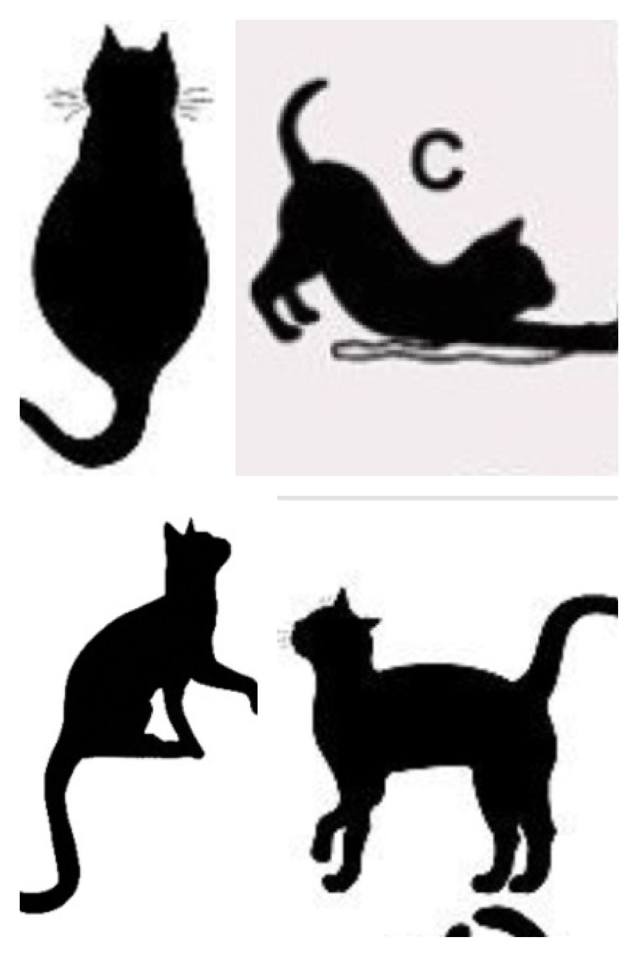 1290x1935 Great Cool Silhouette