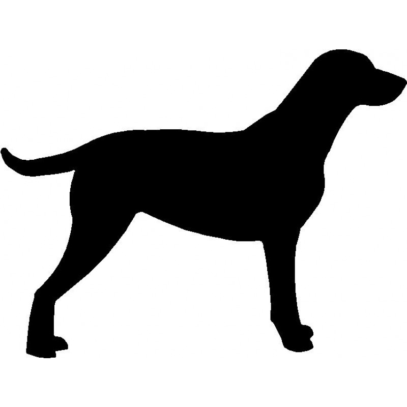 800x800 Dog Breed Silhouette Wall Hanging Magnetic Memo Curly Coated