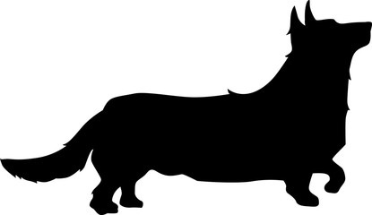 415x240 Corgi Photos, Royalty Free Images, Graphics, Vectors Amp Videos