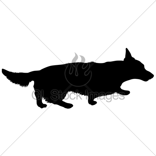500x500 Welsh Corgi Dog Silhouette On A White Background Gl Stock Images