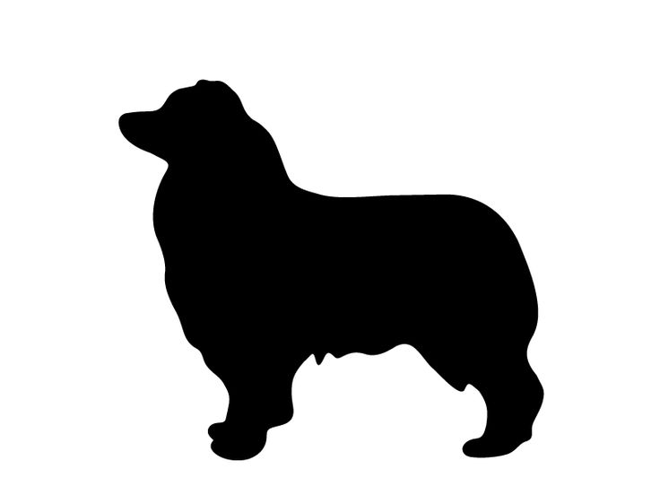 Corgi Silhouette Vector