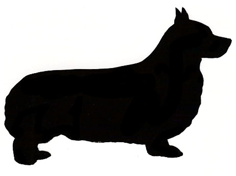 462x344 Norwich Terrier