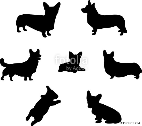500x443 Pembroke Welsh Corgi Silhouette Stock Image And Royalty Free