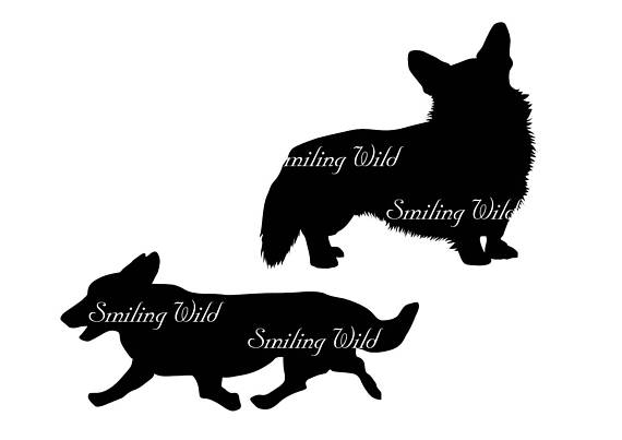 570x403 Pembroke Welsh Corgi Svg Silhouette Cutout File Clipart Corgi