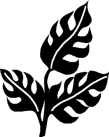 Corn Plant Silhouette