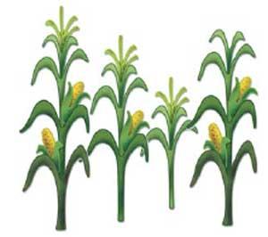 300x266 Corn Field Clipart