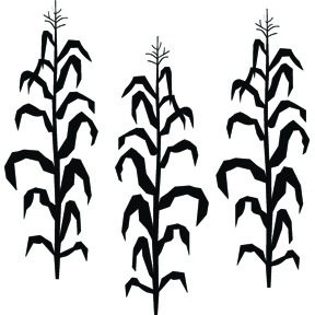 288x288 Corn Stalk Silhouette Vector