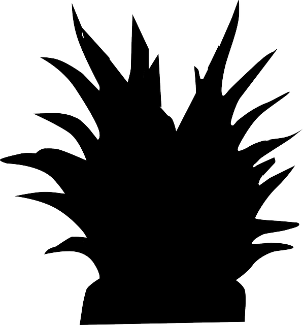 597x640 Free Pictures Plant