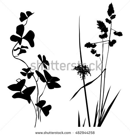 450x470 Black And White Plants Collection