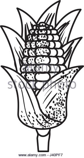 289x540 Cereal Supermarket Stock Photos Amp Cereal Supermarket Stock Images