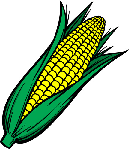 430x496 Corn Stalk Vector Free Vector Download (120 Free Vector)