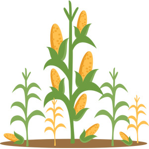 300x300 Silhouette Design Store