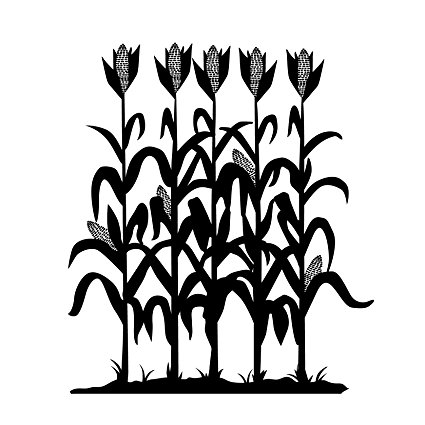 425x425 Corn Row Silhouette
