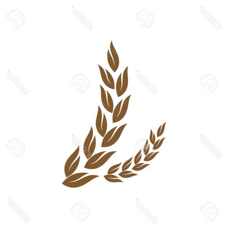 775x775 Unique Corn Silhouette Vector Drawing Vector Images Stocks