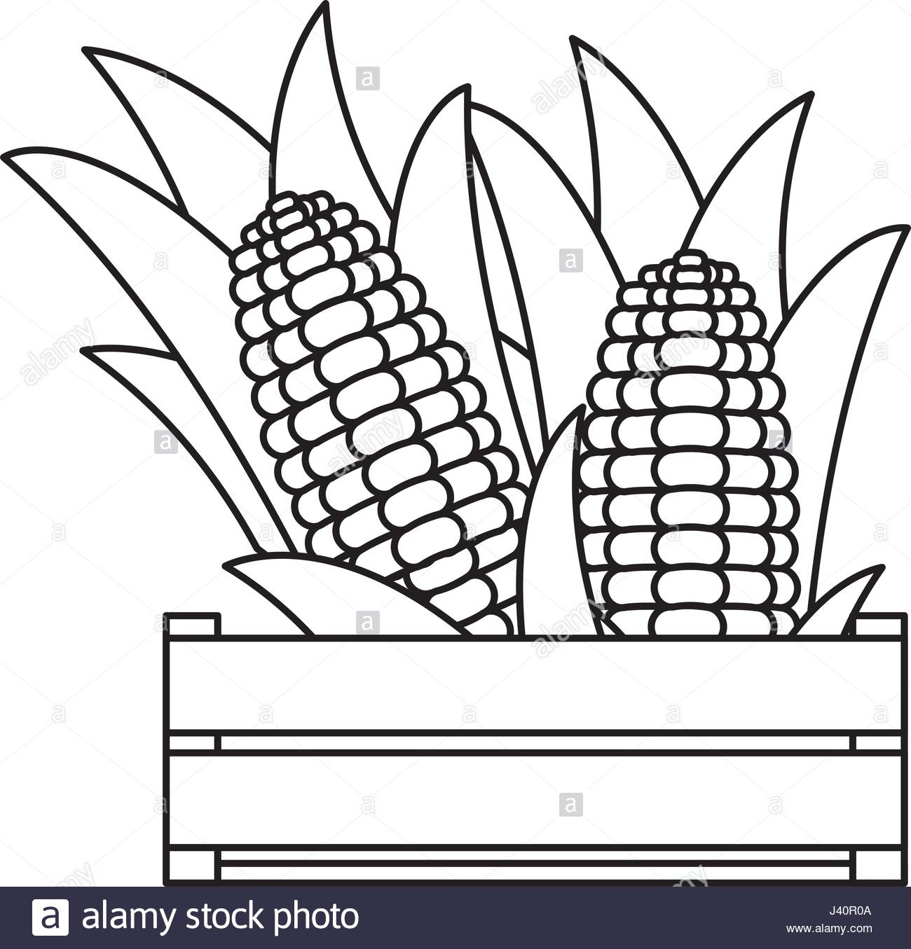 1300x1355 Black Silhouette Of Thick Contour Of Wooden Box With Corn Cobs