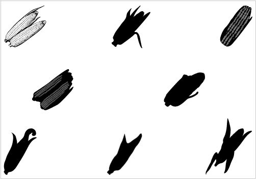 502x352 Corn Silhouette Vector