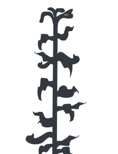 376x490 Corn Stalk Like Plant