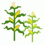 150x150 Silhouette Design Store