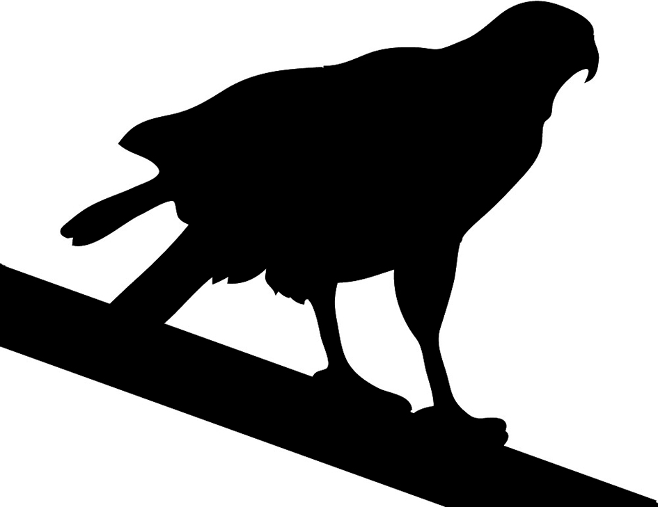 945x729 Hawk Silhouette Clipart