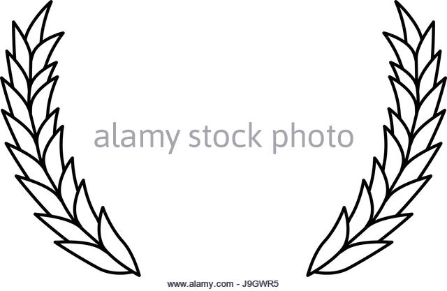 640x417 Corn Field Grain Crop Summer Black And White Stock Photos Amp Images