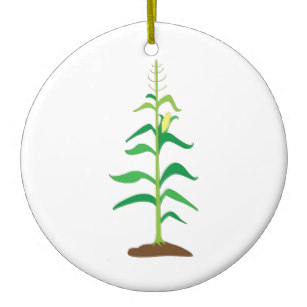 307x307 Corn Stalk Gifts On Zazzle