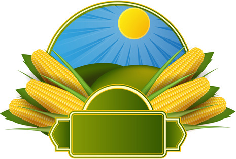 465x314 Corn Stalk Vector Free Vector Download (120 Free Vector)