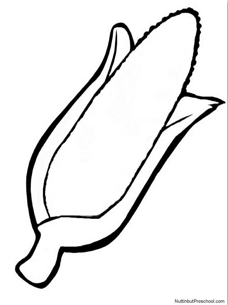 768x1024 Corn Stalk Coloring Page