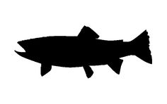 236x148 Salmon Fish Silhouette Graphics Silhouette Graphics