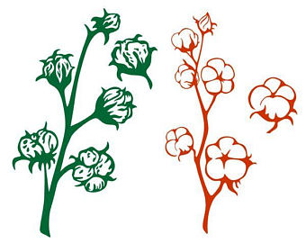 340x270 Southern Cotton Svg Etsy